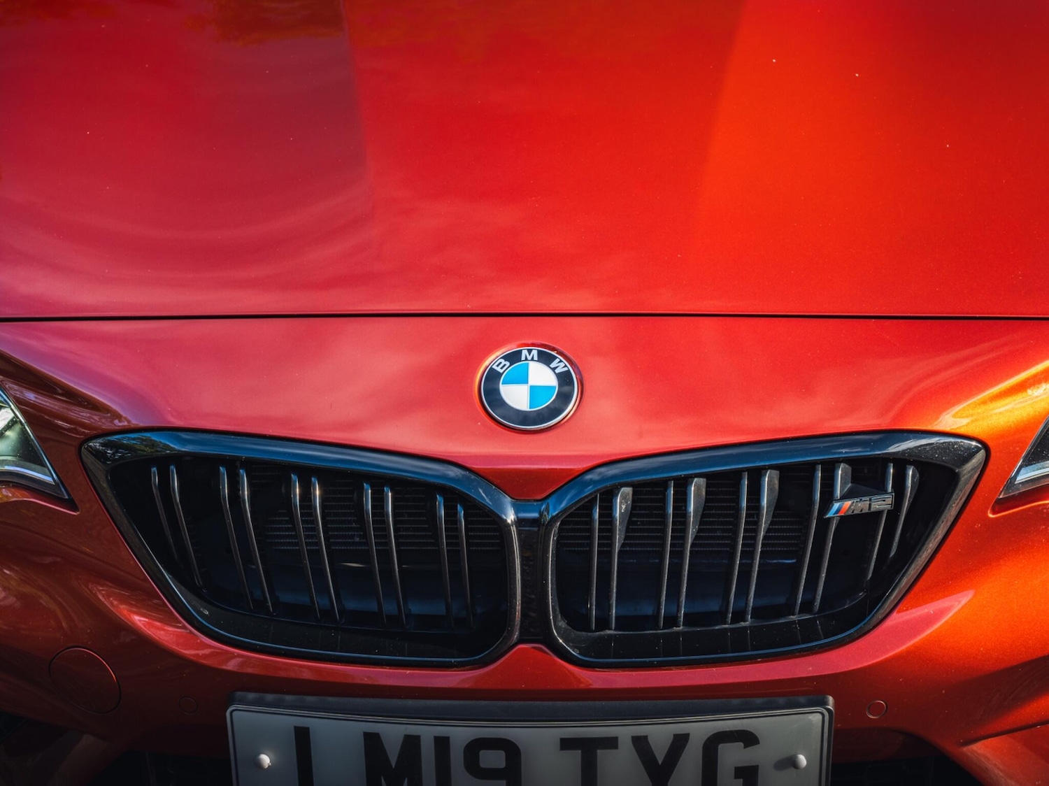 Used BMW M2 for sale - 76314994: Photo 48
