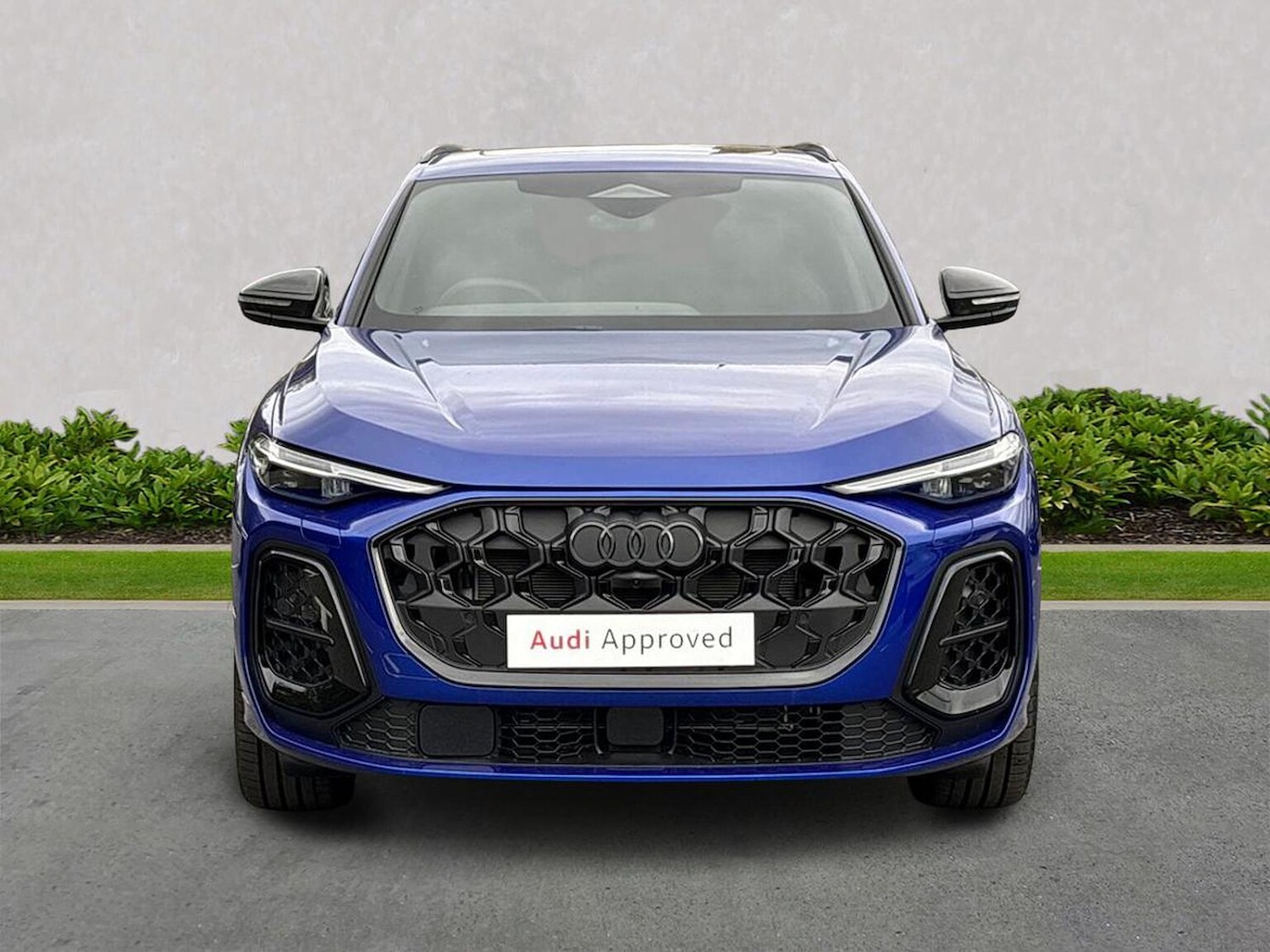 Used Audi Q5 2025 for sale - 76769981: Photo 5