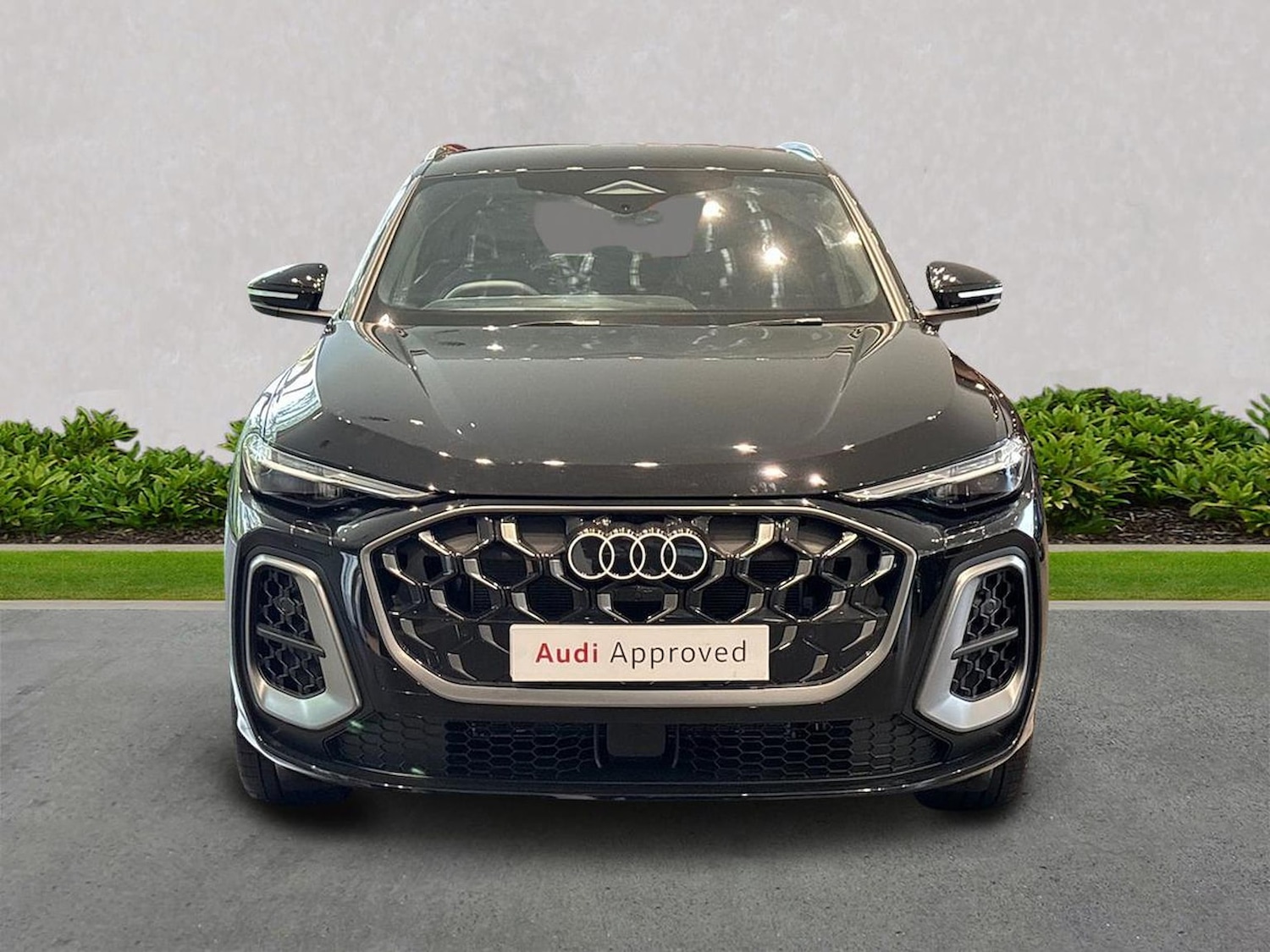 Used Audi Q5 2025 for sale - 76694584: Photo 5