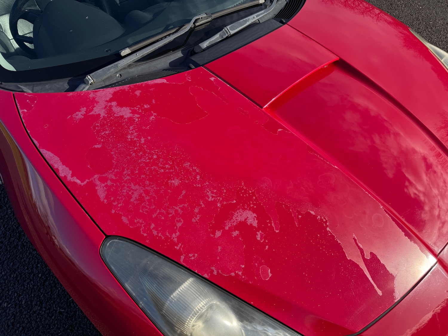 Used Toyota Celica 2003 for sale - 77238658: Photo 12