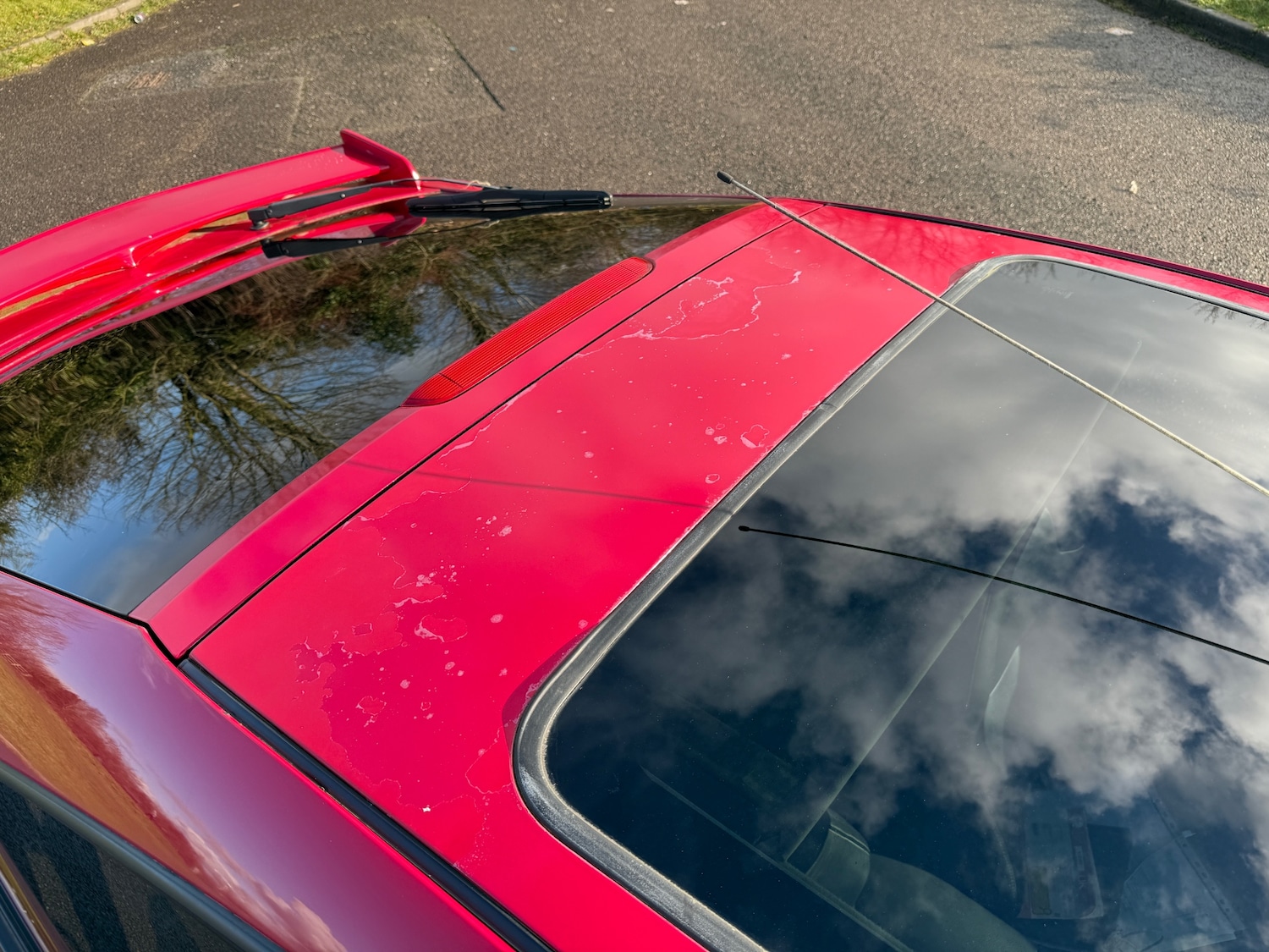 Used Toyota Celica 2003 for sale - 77238658: Photo 13