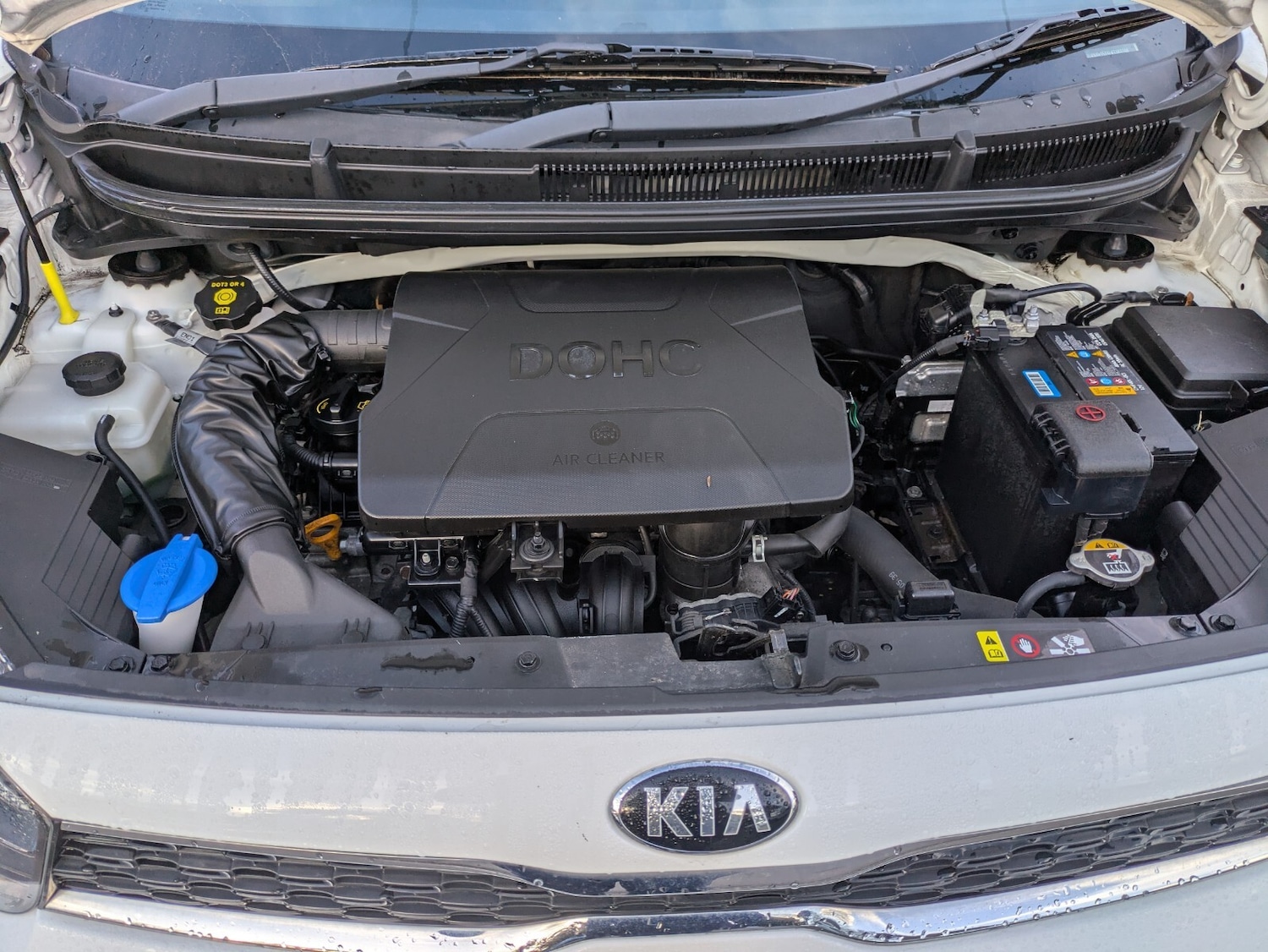 Used Kia Picanto 2018 for sale - 76872277: Photo 26