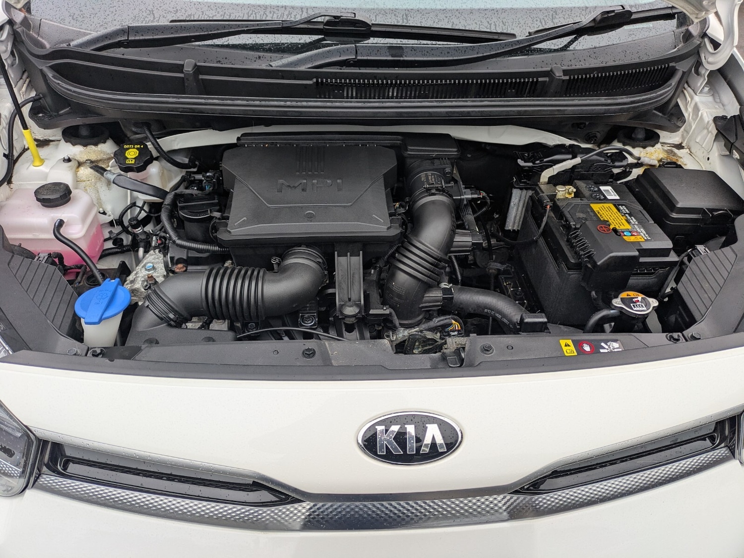 Used Kia Picanto 2021 for sale - 76410655: Photo 36