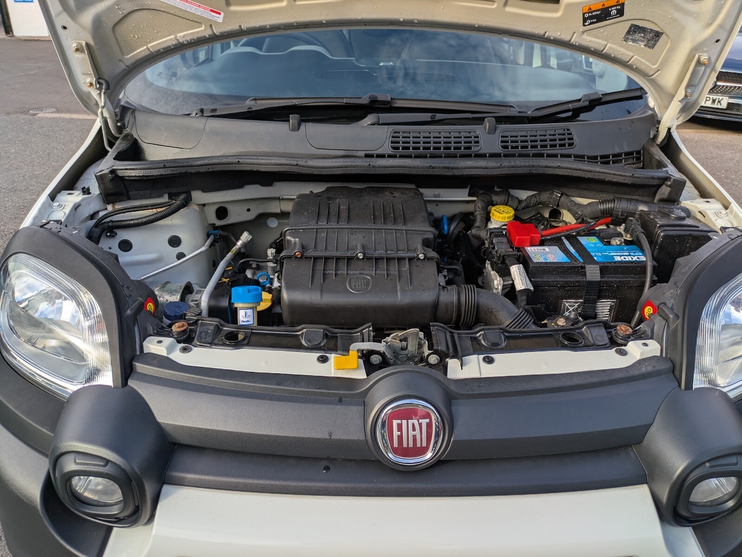 Used Fiat Panda 2019 for sale - 76410565: Photo 35