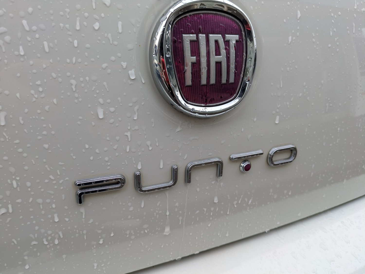 Used Fiat Punto 2016 for sale - 76817711: Photo 17