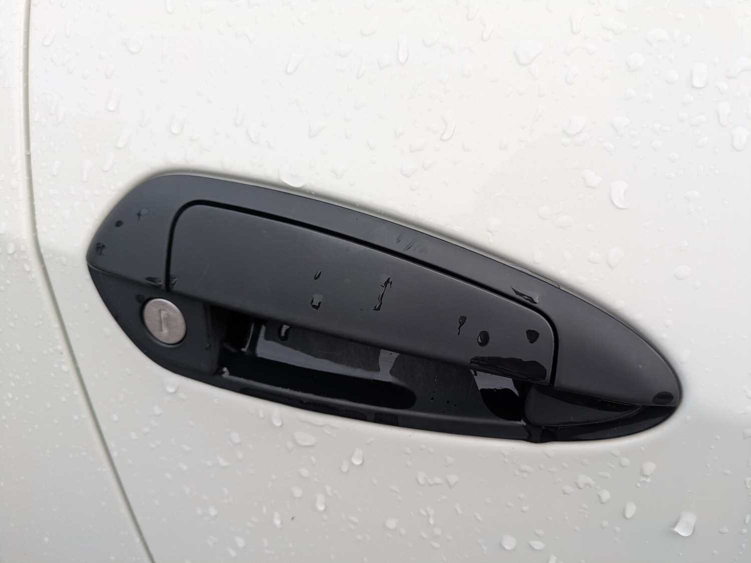 Used Fiat Punto 2016 for sale - 76817711: Photo 20