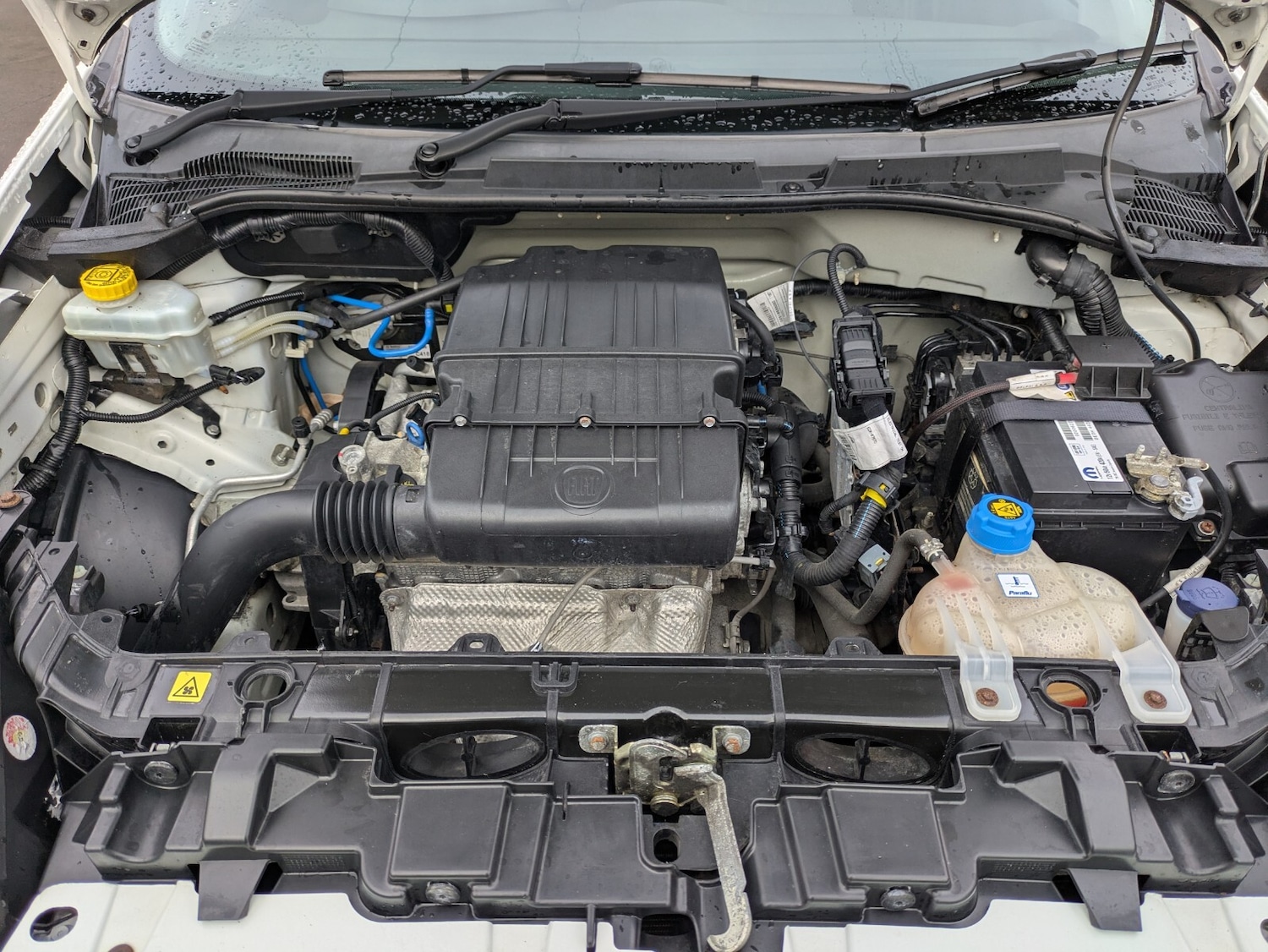 Used Fiat Punto 2016 for sale - 76817711: Photo 24