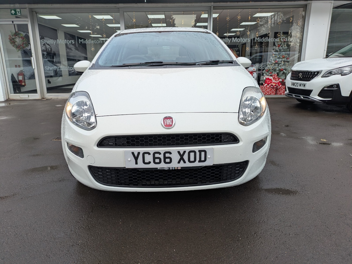 Used Fiat Punto 2016 for sale - 76817711: Photo 3