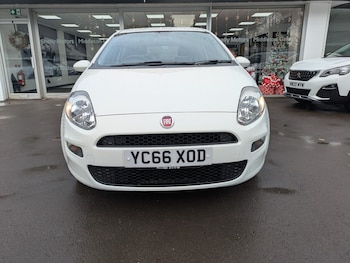 Used Fiat Punto 2016 for sale - 76817711: Photo