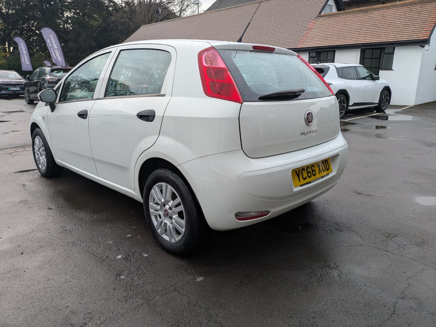 Used Fiat Punto 2016 for sale - 76817711: Photo 7