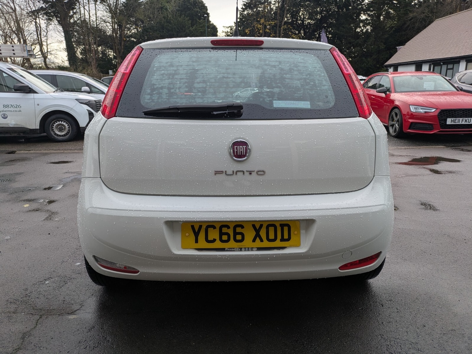 Used Fiat Punto 2016 for sale - 76817711: Photo 8