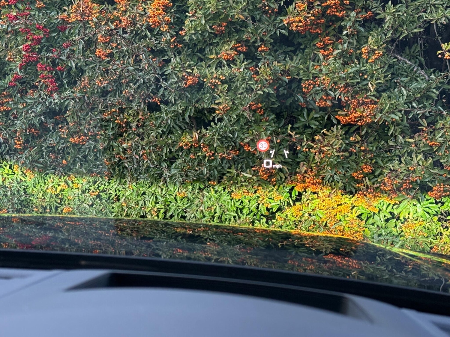 Used Audi A4 2019 for sale - 76994935: Photo 46