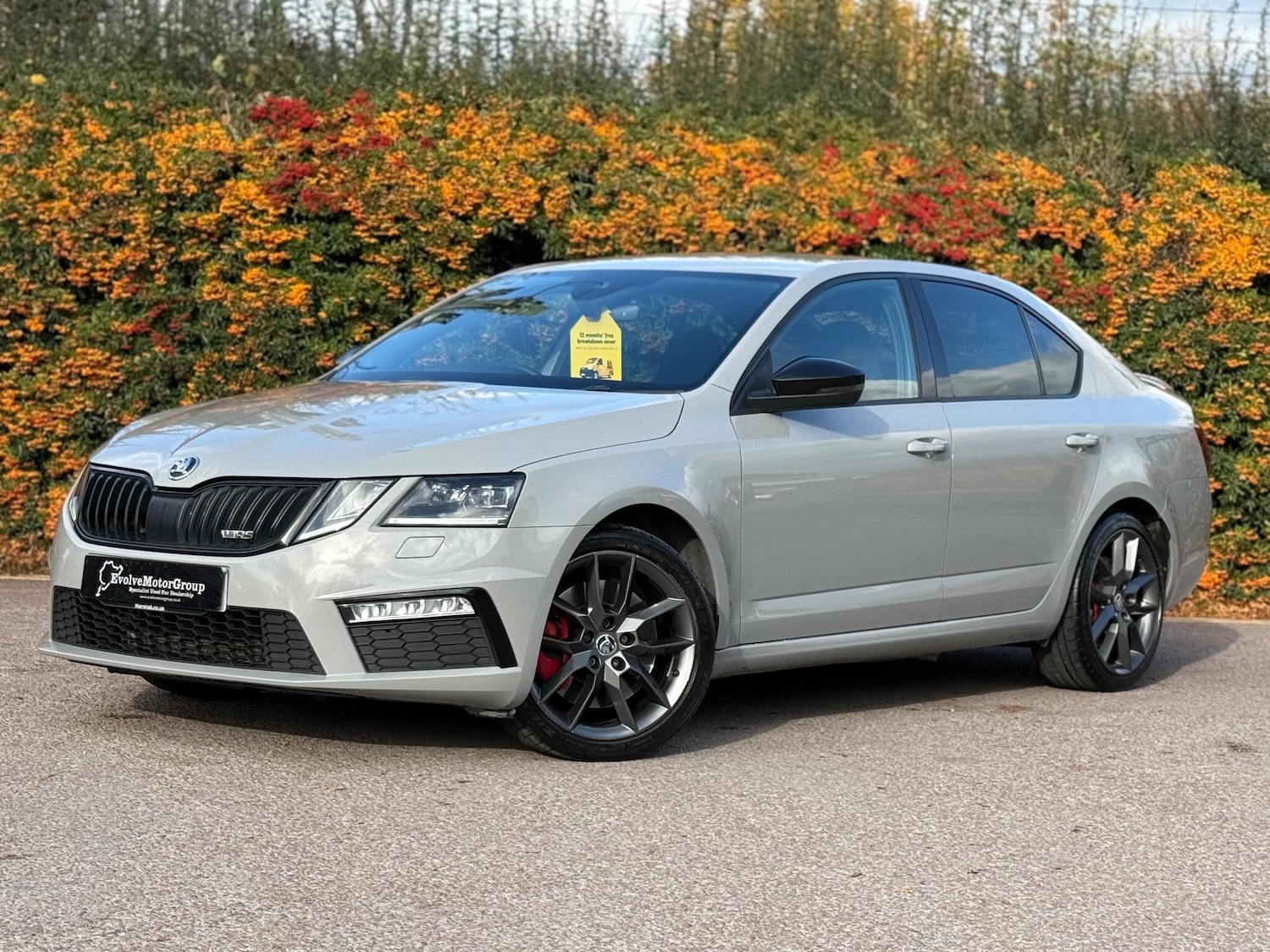 Used Skoda Octavia 2018 for sale - 76513354: Photo 4