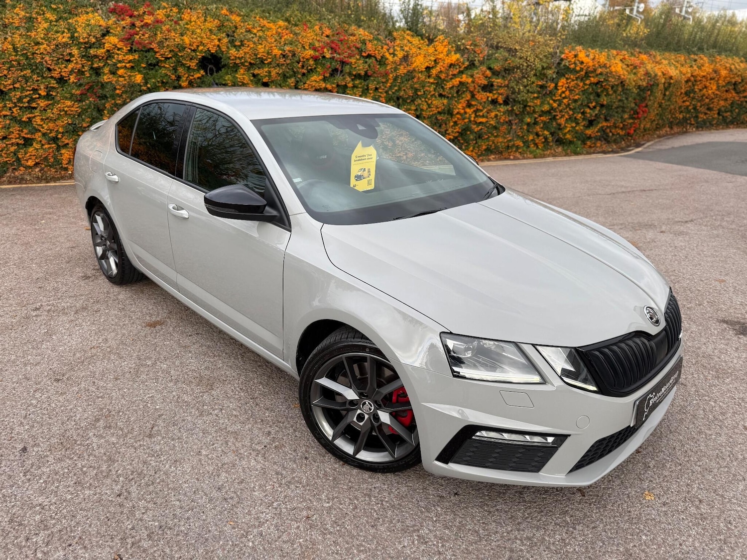 Used Skoda Octavia 2018 for sale - 76513354: Photo 7