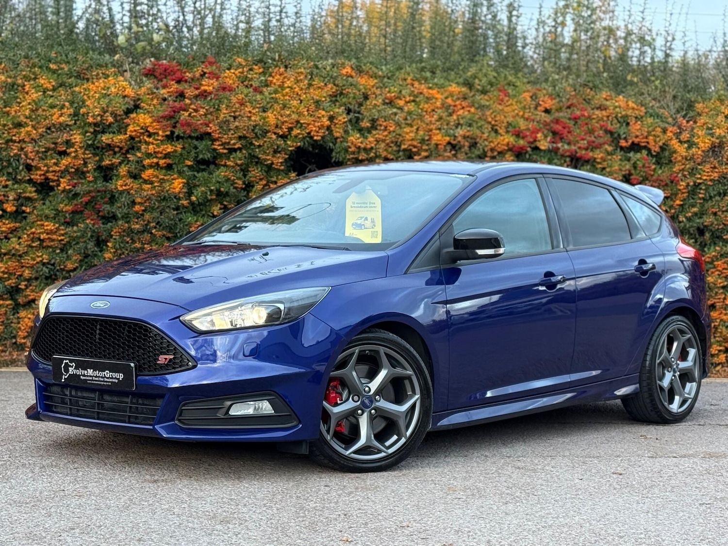 Used Ford Focus 2015 for sale - 76522344: Photo 8