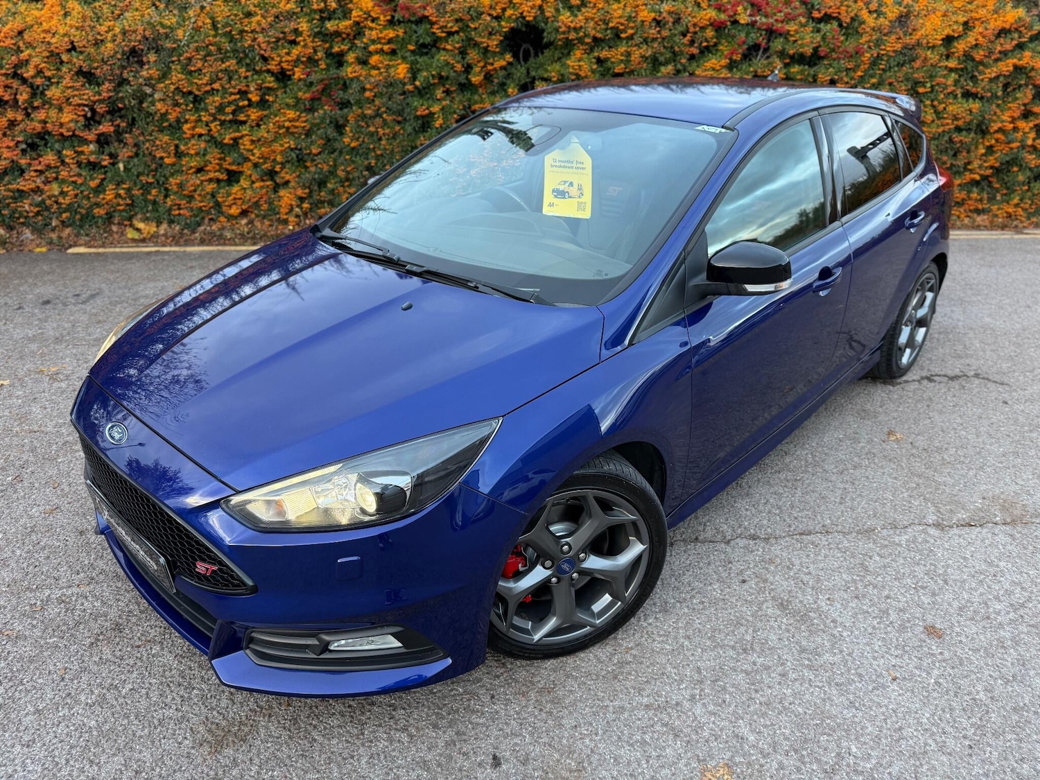 Used Ford Focus 2015 for sale - 76522344: Photo 9