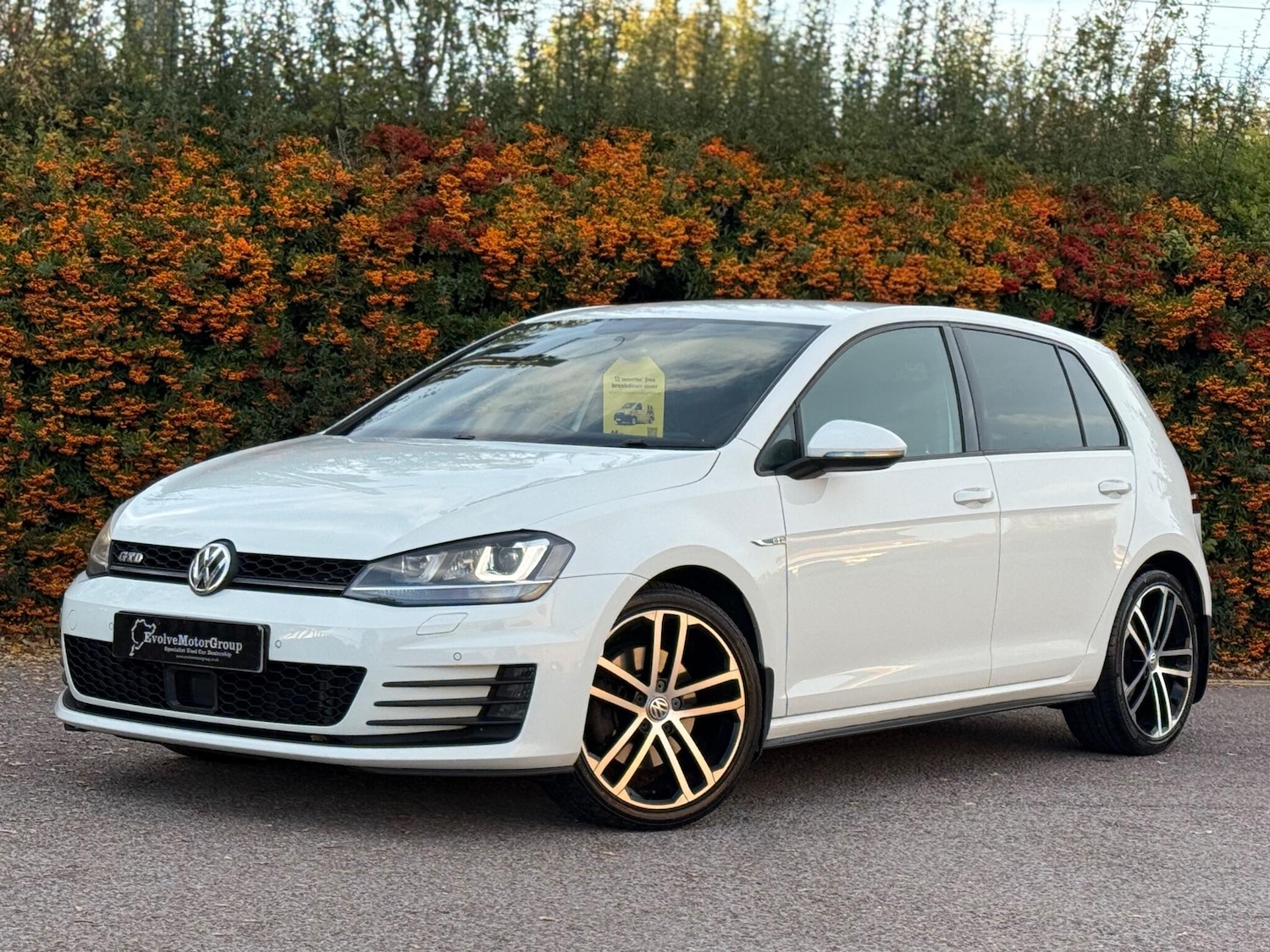 Used Volkswagen Golf 2017 for sale - 76179505: Photo 10
