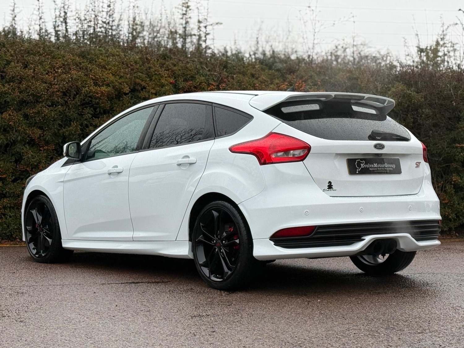 Used Ford Focus for sale - 77242861: Photo 11