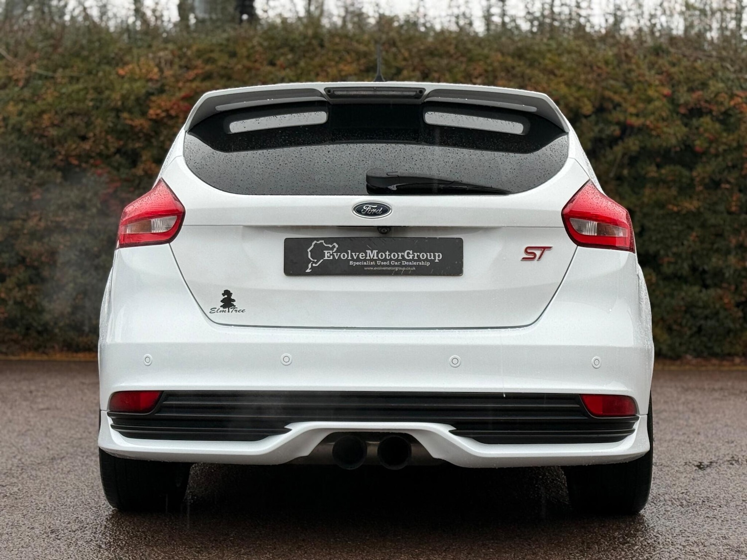 Used Ford Focus for sale - 77242861: Photo 13