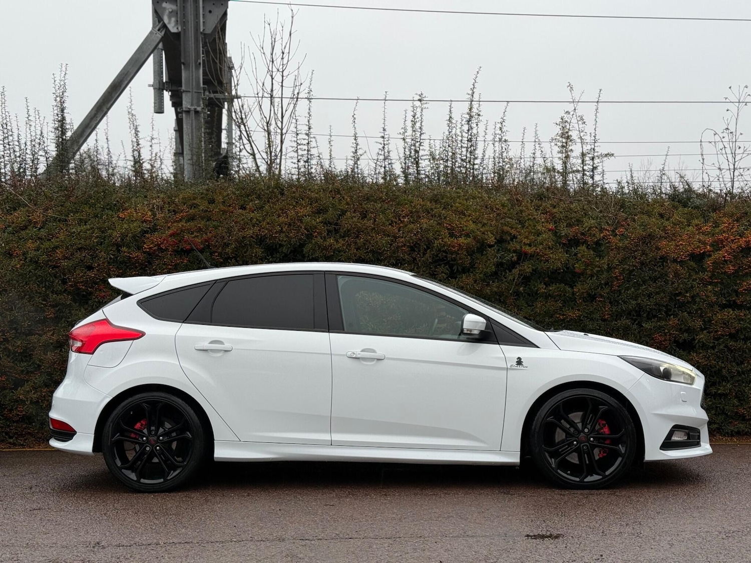 Used Ford Focus for sale - 77242861: Photo 14