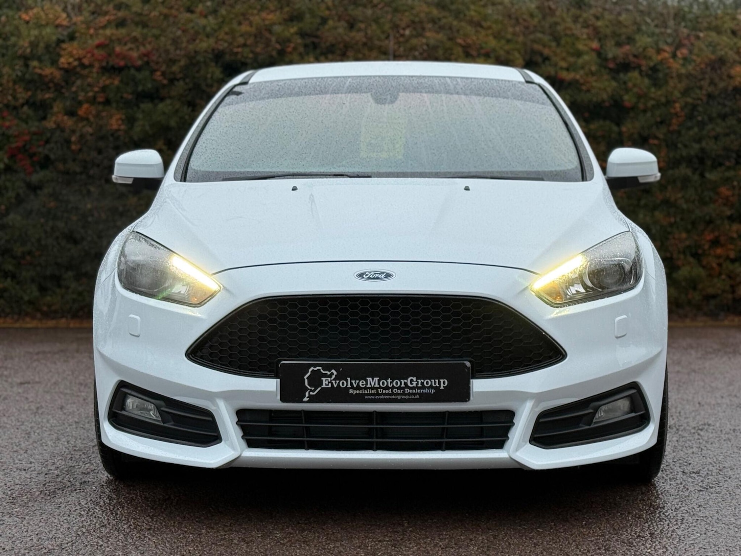Used Ford Focus for sale - 77242861: Photo 3