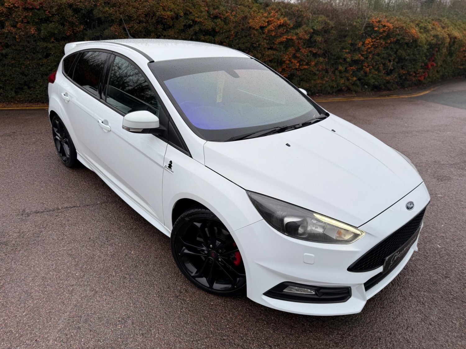 Used Ford Focus for sale - 77242861: Photo 7