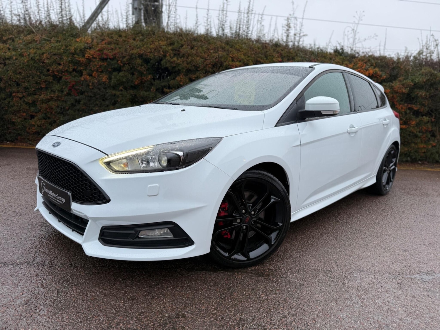Used Ford Focus for sale - 77242861: Photo 8