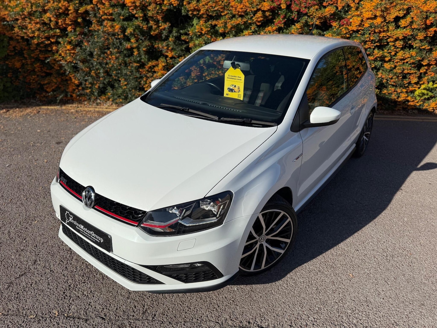 Used Volkswagen Polo 2016 for sale - 76189832: Photo 10
