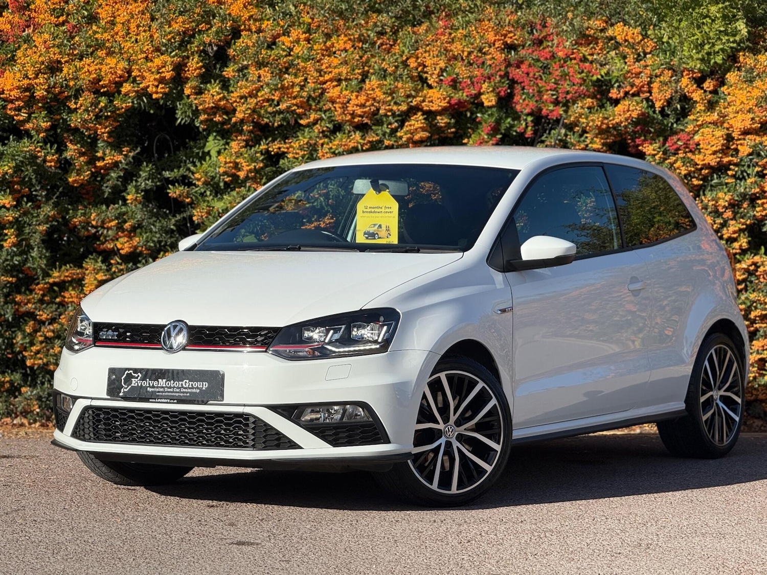 Used Volkswagen Polo 2016 for sale - 76189832: Photo 11