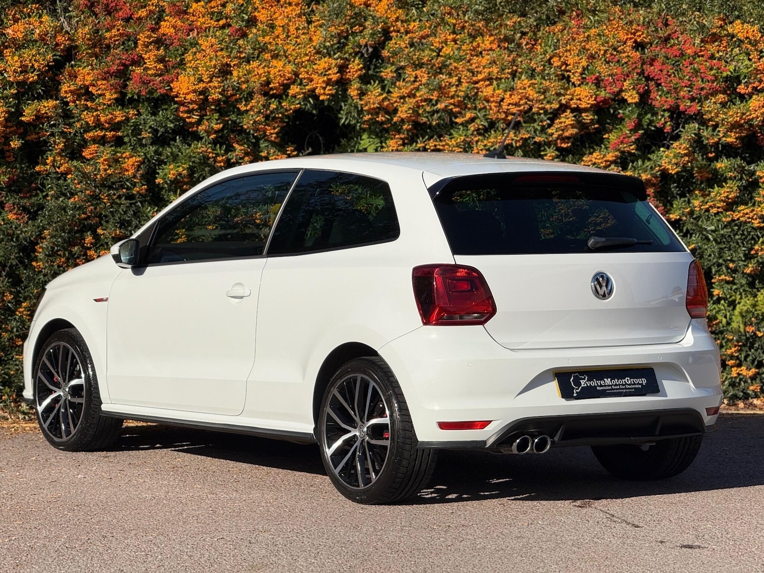 Used Volkswagen Polo 2016 for sale - 76189832: Photo 13