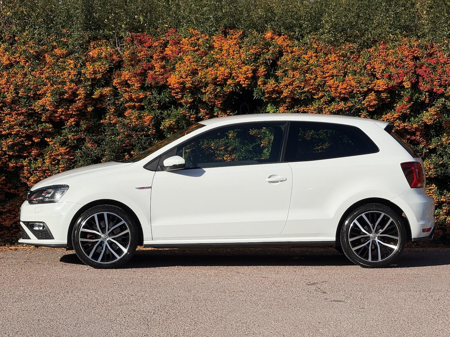 Used Volkswagen Polo 2016 for sale - 76189832: Photo 15