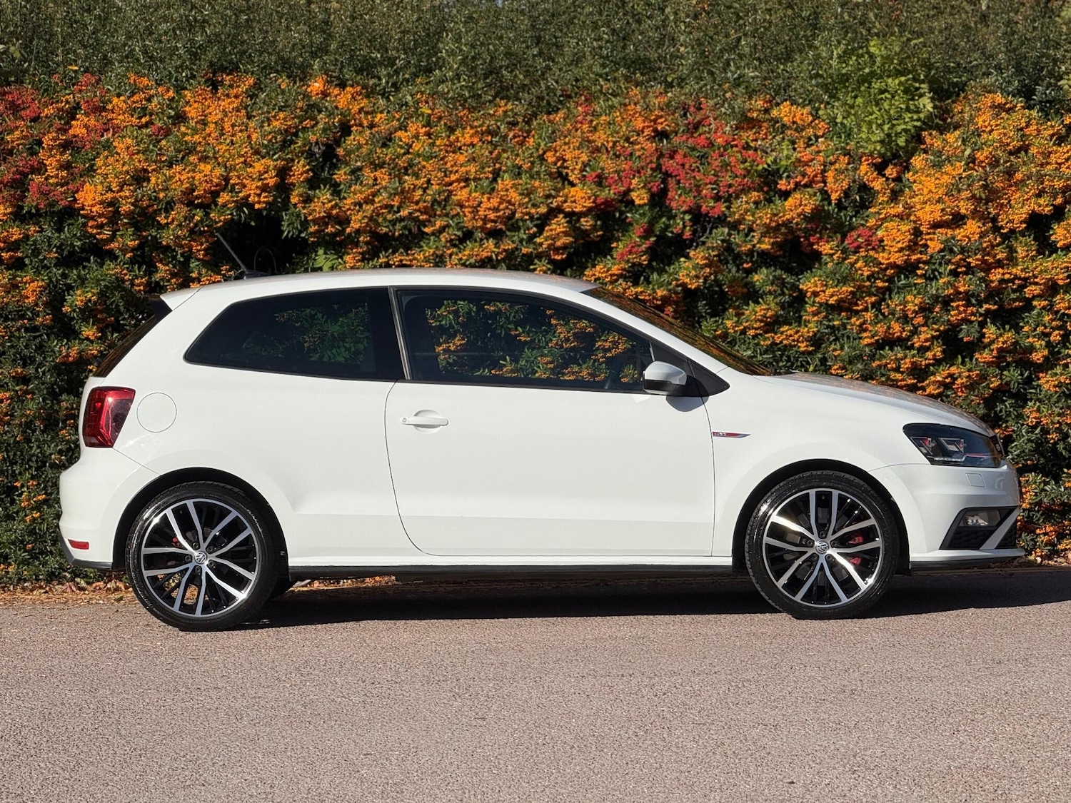 Used Volkswagen Polo 2016 for sale - 76189832: Photo 17