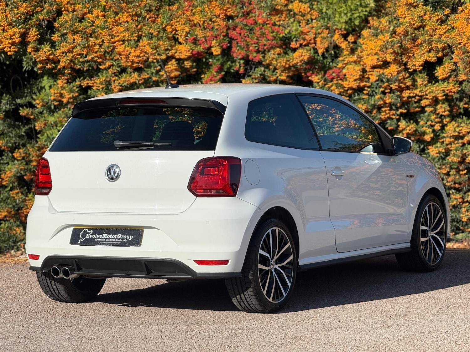 Used Volkswagen Polo 2016 for sale - 76189832: Photo 19