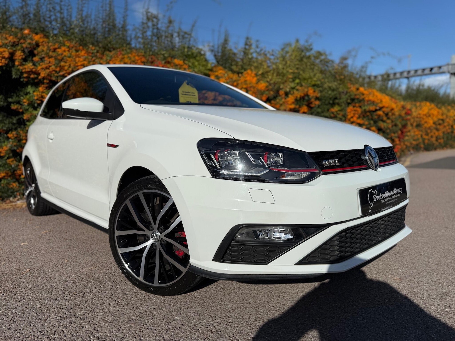 Used Volkswagen Polo 2016 for sale - 76189832: Photo 8