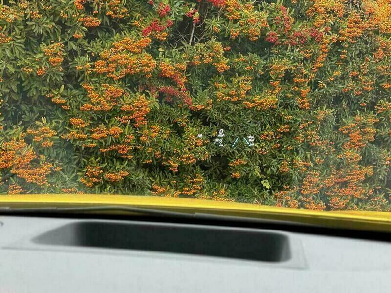 Used Mercedes-Benz A-Class 2019 for sale - 76499841: Photo 51