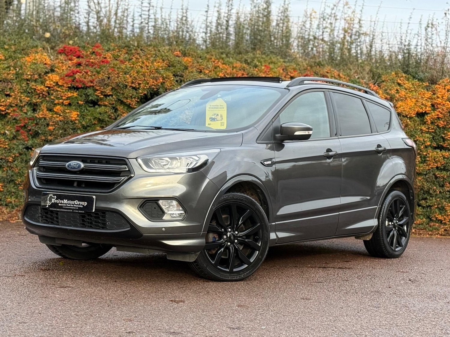 Used Ford Kuga 2017 for sale - 77017199: Photo 10