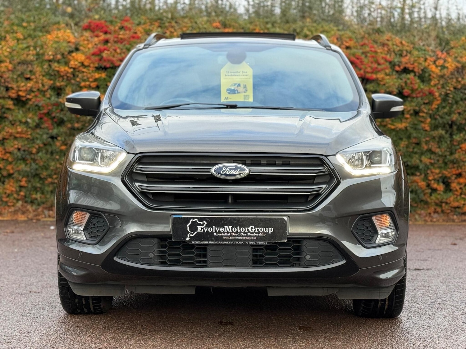 Used Ford Kuga 2017 for sale - 77017199: Photo 4