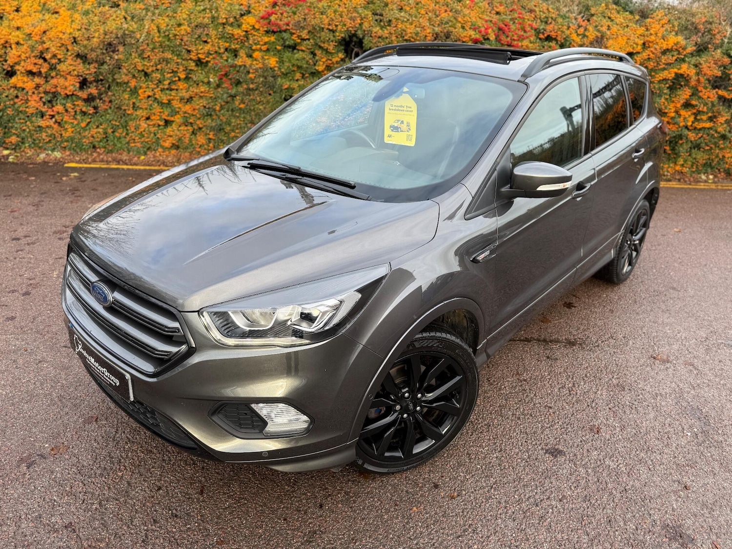 Used Ford Kuga 2017 for sale - 77017199: Photo 5