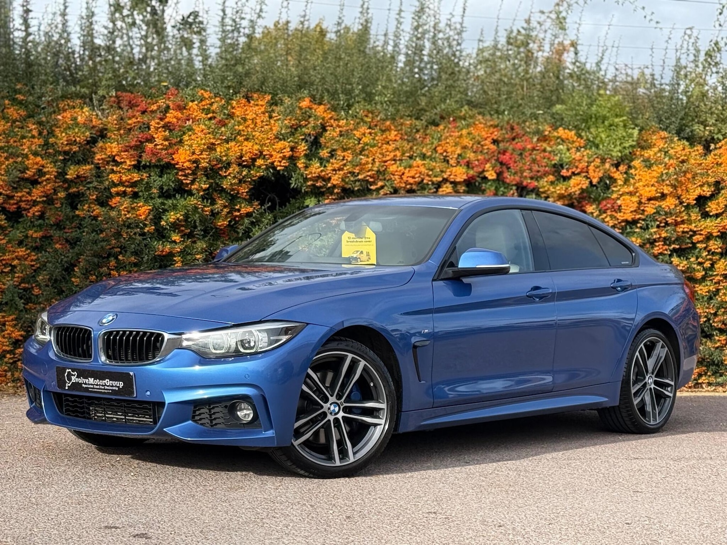 Used BMW 4 Series Gran Coupe 2017 for sale - 76179574: Photo 10