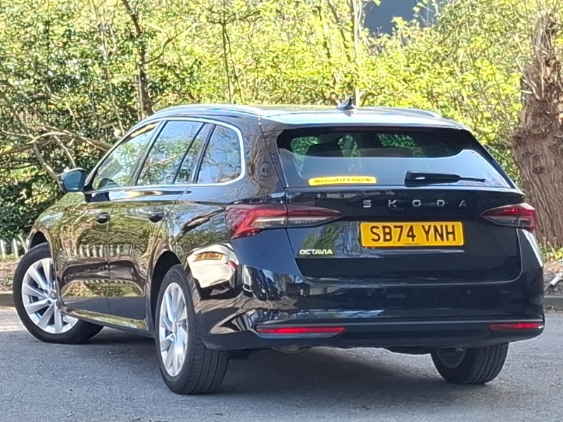 Used Skoda Octavia 2025 for sale - 78169551: Photo 3