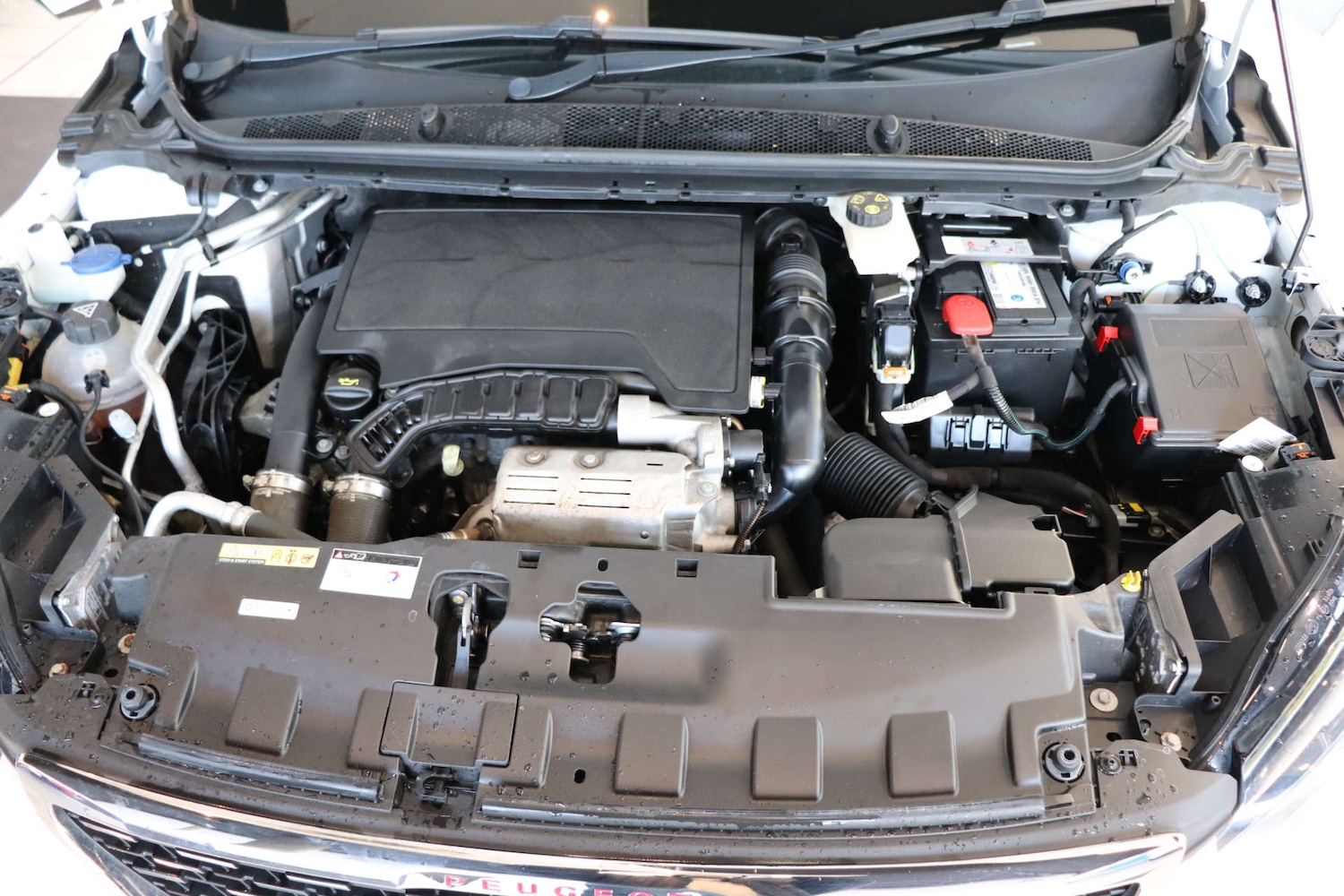 Used Peugeot 308 2020 for sale - 76919214: Photo 59