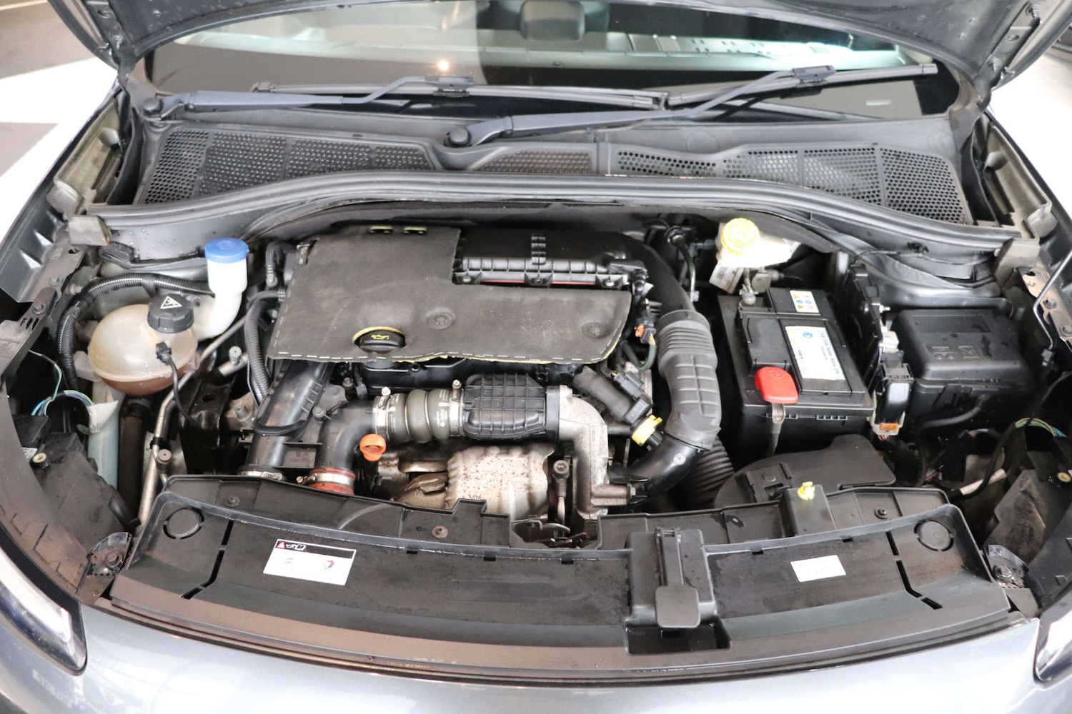 Used Citroen C4 Cactus 2016 for sale - 76289020: Photo 67