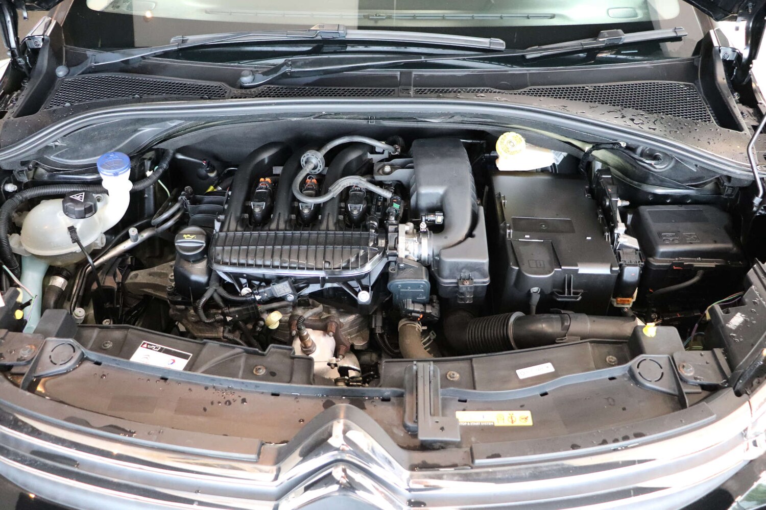 Used Citroen C3 2019 for sale - 76749838: Photo 57