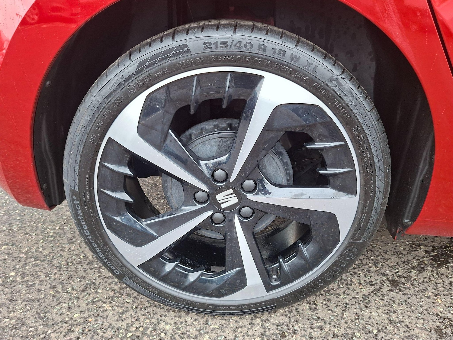 Used SEAT Ibiza 2024 for sale - 77413278: Photo 31