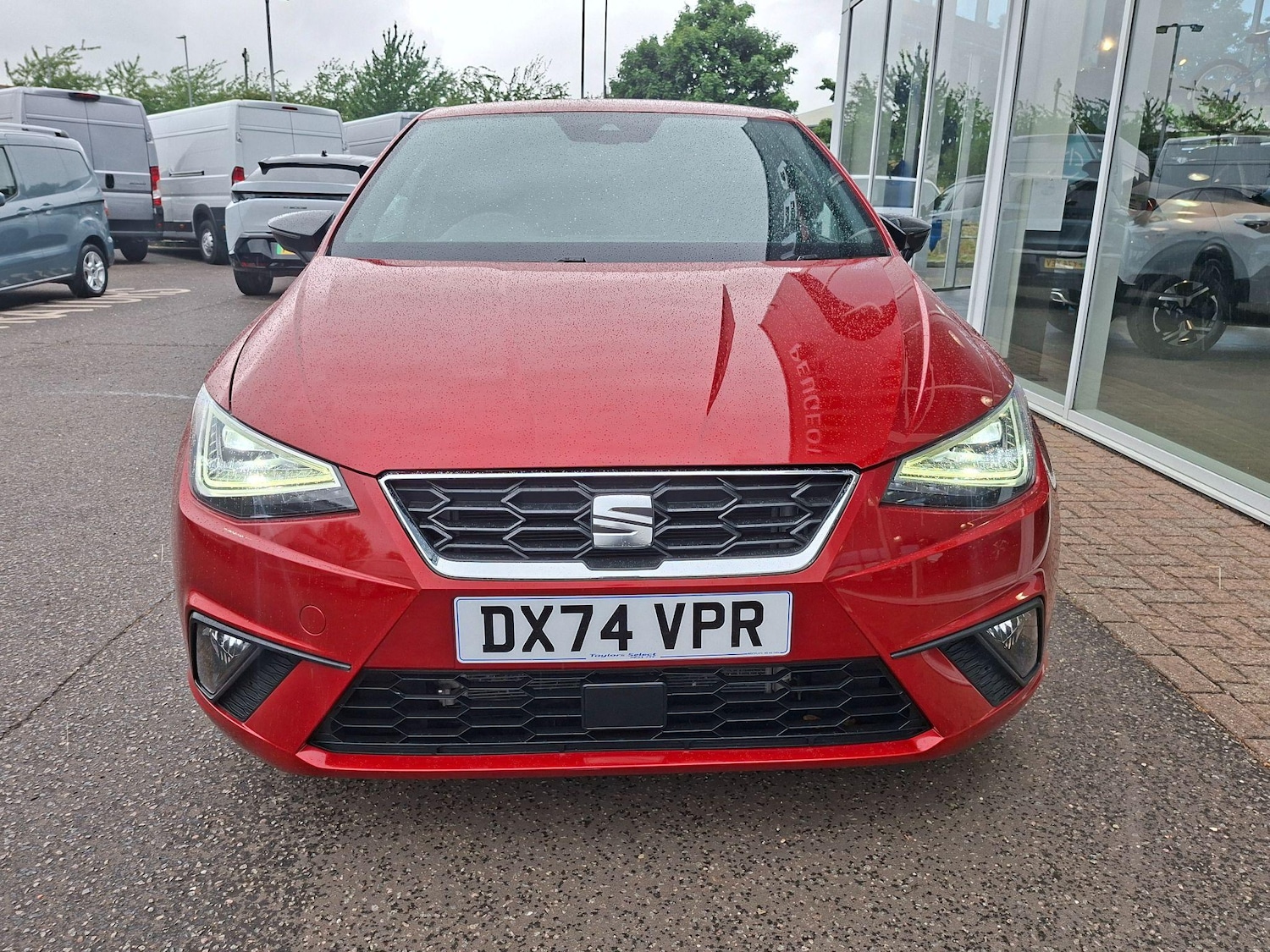 Used SEAT Ibiza 2024 for sale - 77413278: Photo 5