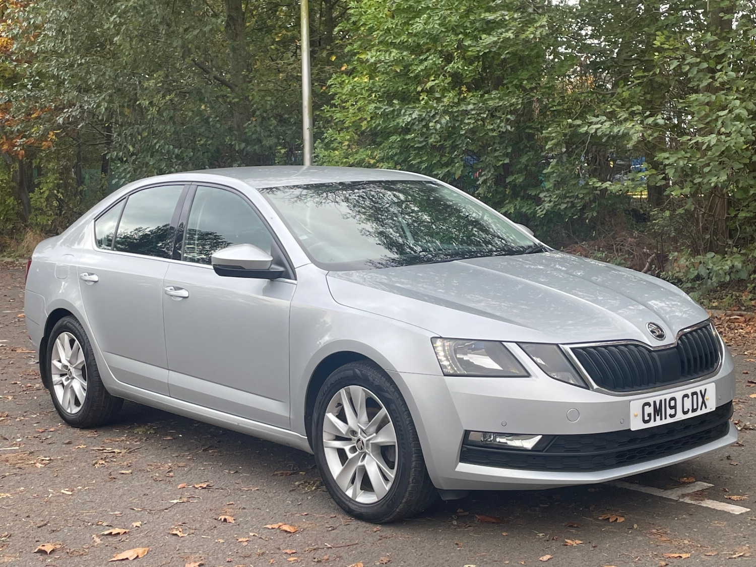 Used Skoda Octavia 2019 for sale - 76853651: Photo 1