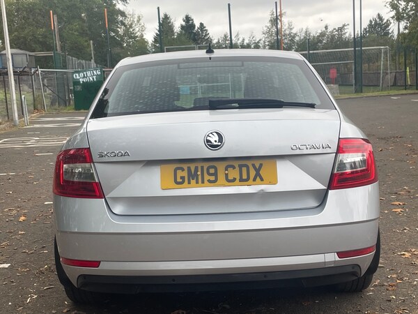 Used Skoda Octavia 2019 for sale - 76206146: Photo 6