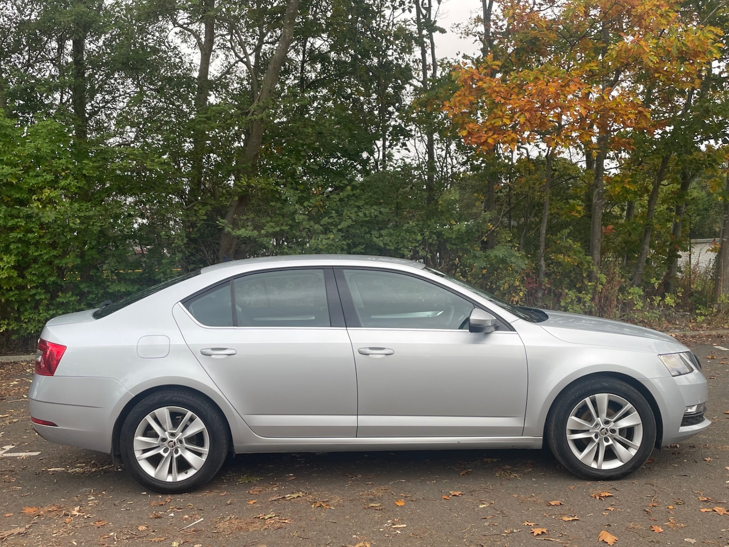 Used Skoda Octavia 2019 for sale - 76206146: Photo 8