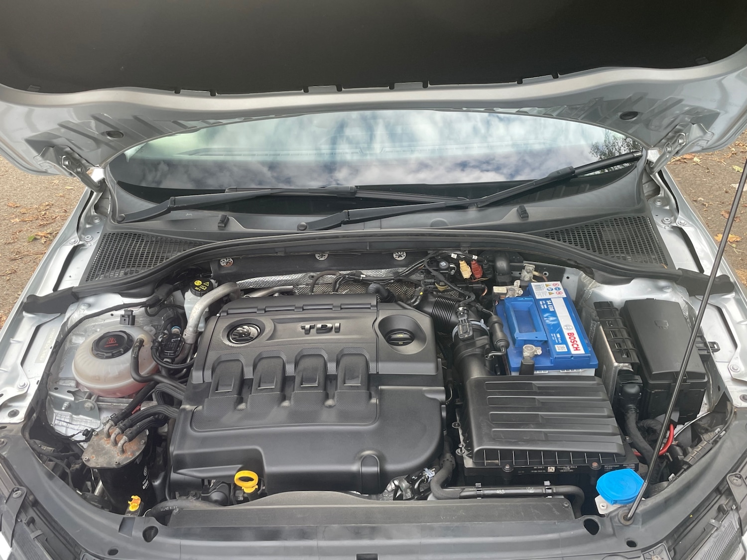 Used Skoda Octavia 2019 for sale - 76206146: Photo 9