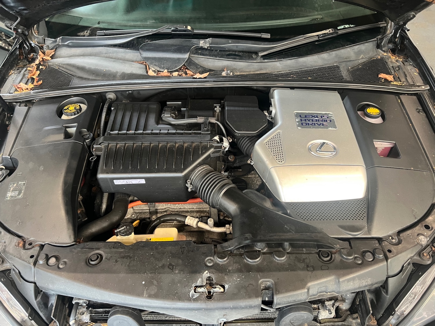 Used Lexus RX 2009 for sale - 77028263: Photo 20